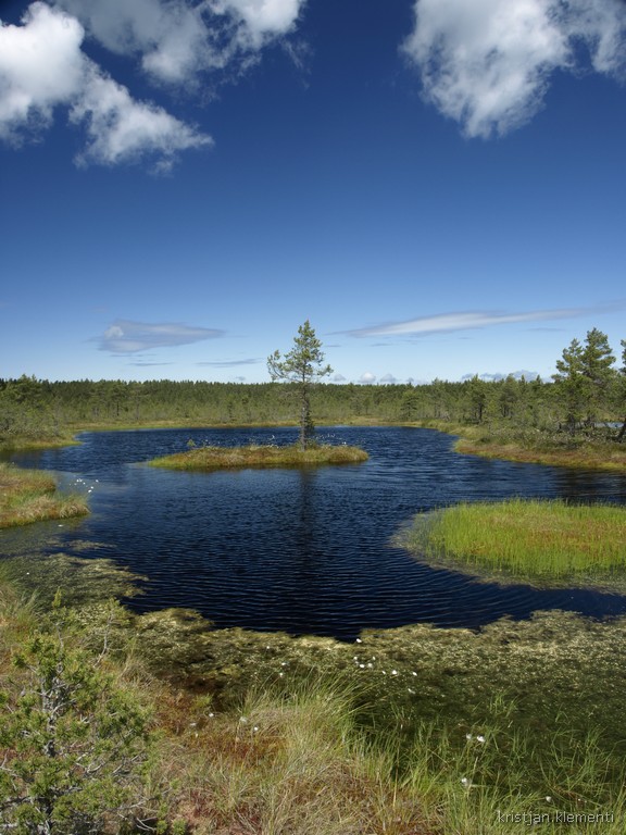 Viru raba järved
