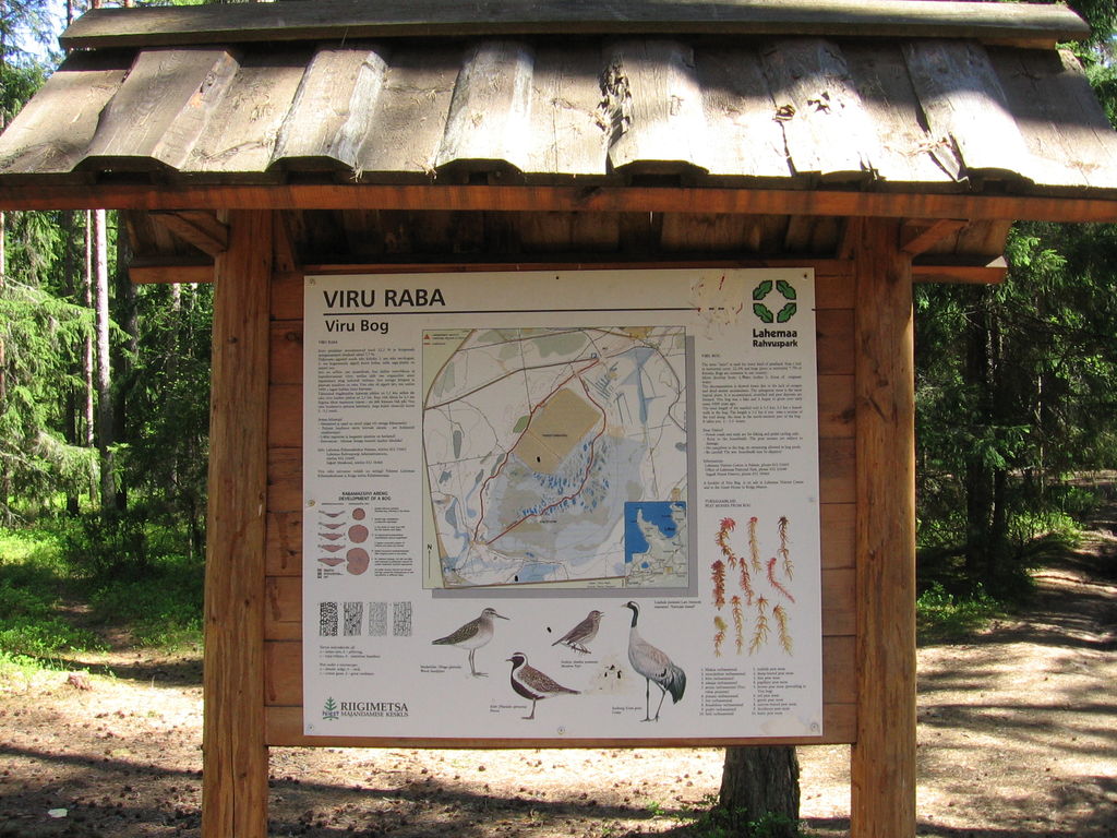 Viru rabas – 2005