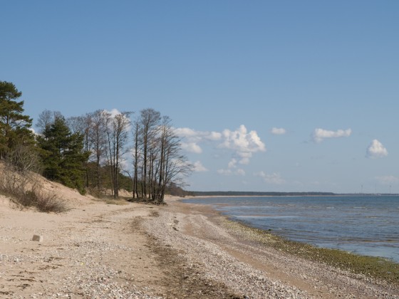 Järve rand