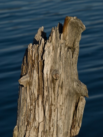 Ajahammas