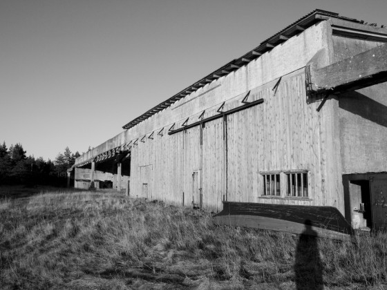 Paadikuur