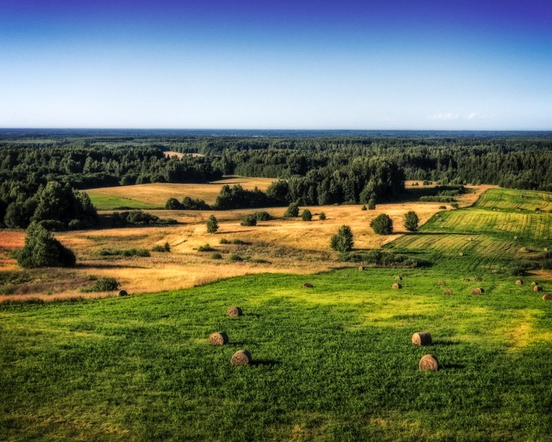 Pilguheit eesti maastikule